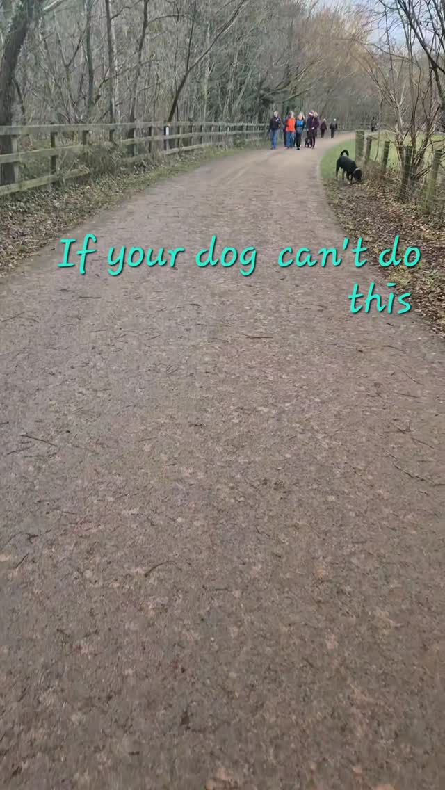 ⁉️HELP, MY DOG RUNS OVER TO PEOPLE & DOGS⁉️

To stop this you must first have lead manners and then work on obedience around distraction to enable a dog to calmly walk past. 

Shads loves dogs. He is genetically a social dog and was over socialised as a pup so without the training I have put in, he would be running over to every dog in sight but he understands what is required of him. 

dogs #dogtraining #northeastdogtraining #looseleashwalking #dogreactivity dogsofınstagram 
doglovers 
#libertask9