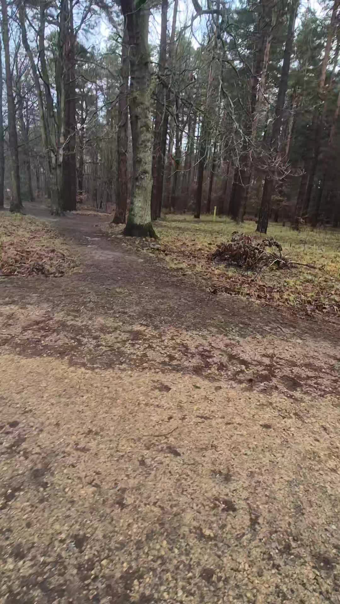 🐾👅GROUP WALKS👅🐾

Another successful group walk.

All the dogs did amazing. The group walks are a great way to work further on calmness and neutrality around other dogs.

All these dogs at one point would react towards other dogs and walking like this was just a dream for the owner. 

Awesome work guys. 

#dogs #dogtraining #northeastdogtraining #looseleashwalking #dogreactivity #dogsofınstagram 
#doglovers 
#libertask9