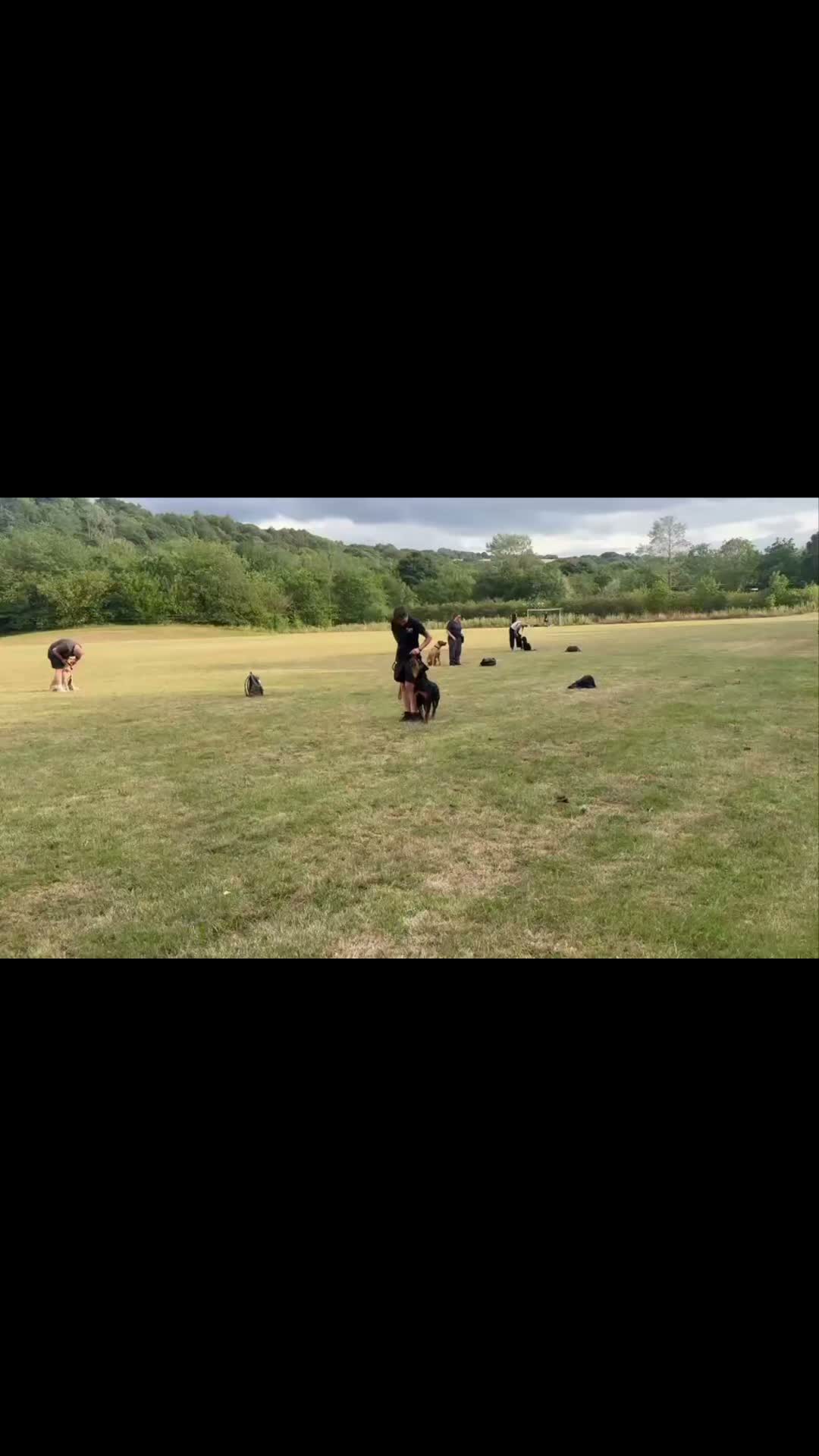 🐾🌟GROUP OBEDIENCE🌟🐾

Last night's group obedience session we had a bit of a fun one as we've previously worked on dog neutrality and day to day obedience so we had some fun doing some trick training.

This is a great way to get your dogs thinking, builds on your relationship and is fun to do. 

At one point all of the dofs in this video, with the exception of my pup in the middle, have all been reactive and a struggle to walk. Now they train for fun and to get more out of their dog.

Great session everyone.

#dogs #dogtraining #northeastdogtraining #looseleashwalking #dogreactivity #dogsofınstagram 
#doglovers 
#libertask9