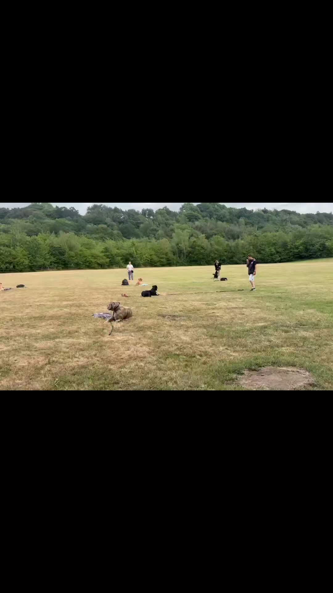 🐕🐾GROUP OBEDIENCE CLASS🐾🐕

Last night's group obedience class. All dogs did brilliantly.

We worked on down stays, place command, recall and obedience under distractions. 

#dogs #dogtraining #northeastdogtraining #looseleashwalking #dogreactivity #dogsofınstagram 
#doglovers 
#libertask9