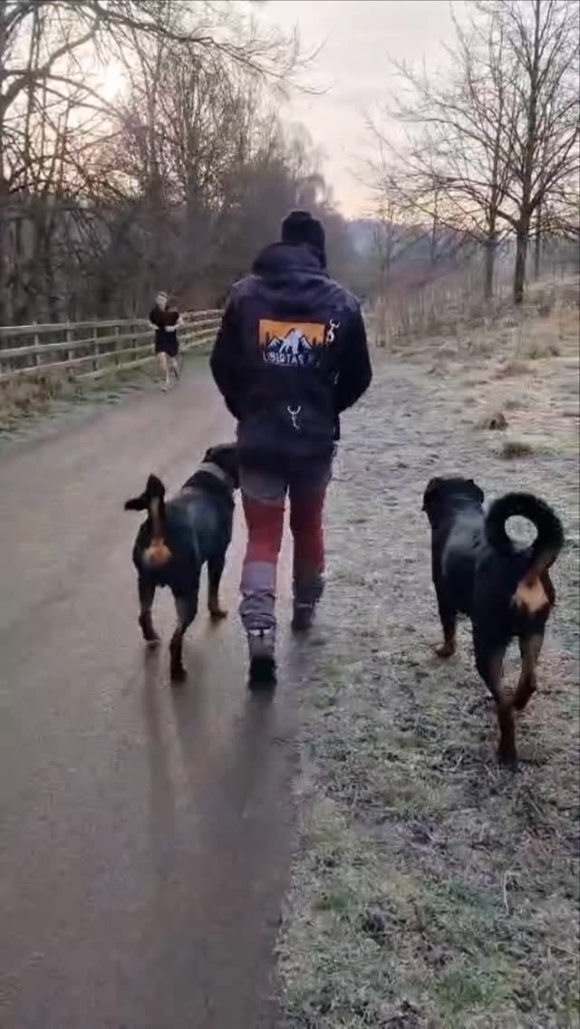 🧨💣DOGS WITH REACTIVITY💣🧨

When we look at dogs with reactivity, we need to look at what is causing them to become reactive so we can help dogs through this. 

There are many things that can cause a dog to become reactive. 

Under socialised, over socialised, fear, nerve, genetics etc etc. 

As dog trainers, it is our job to work out what is causing them to react so we can change the dogs mindset and help make outings enjoyable again for the owner and the dog. 

If your dog is barking at other dogs, lunging on the lead, or unable to walk past another dog without some form of behavioural issue, then help is needed. 

Many people seem to think there is a quick fix for reactivity and 1 session will solve the problem. This, unfortunately, is not the case. 

During the first session there is only so much you can go through, and yet so much more that needs to be done. 

Regular sessions are always recommended alongside training at home to get the best possible outcome. 

Let us help you to help your dog overcome their reactivity. 

Drop us a message and start enjoying your outings with your dog again 

dogs #dogtraining  #dogbehavior #northeastdogtraining #dogreactivity dogsofınstagram doglovers #libertask9