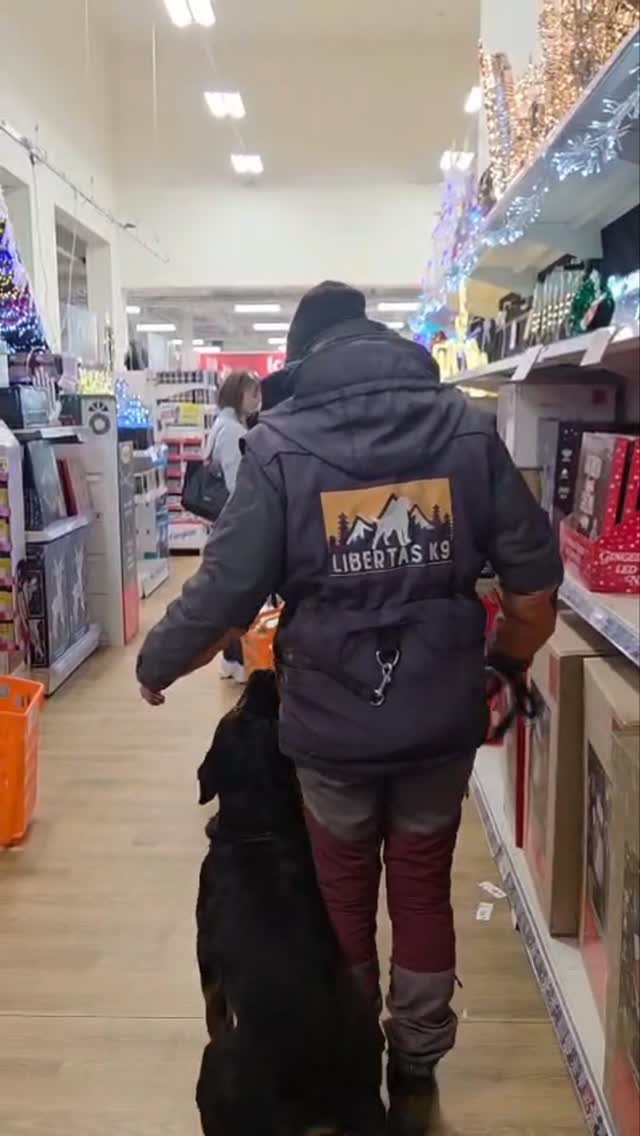 ☃️❄️SHADOW'S SHOPPING TRIP❄️☃️

Normal people go shopping me and Shads go training 😂.

Bit of heelwork under a lot of distractions and first time in @therangeuk for him. Not perfect but I wouldn't expect it to be in this situation. Proud of my boy.

We did of course have to shop whilst we were there. Mainly for dog stuff of course 😂

#rottweiler #northeastdogtraining looseleashwalking dogreactivity dogsofınstagram 
doglovers 
#libertask9