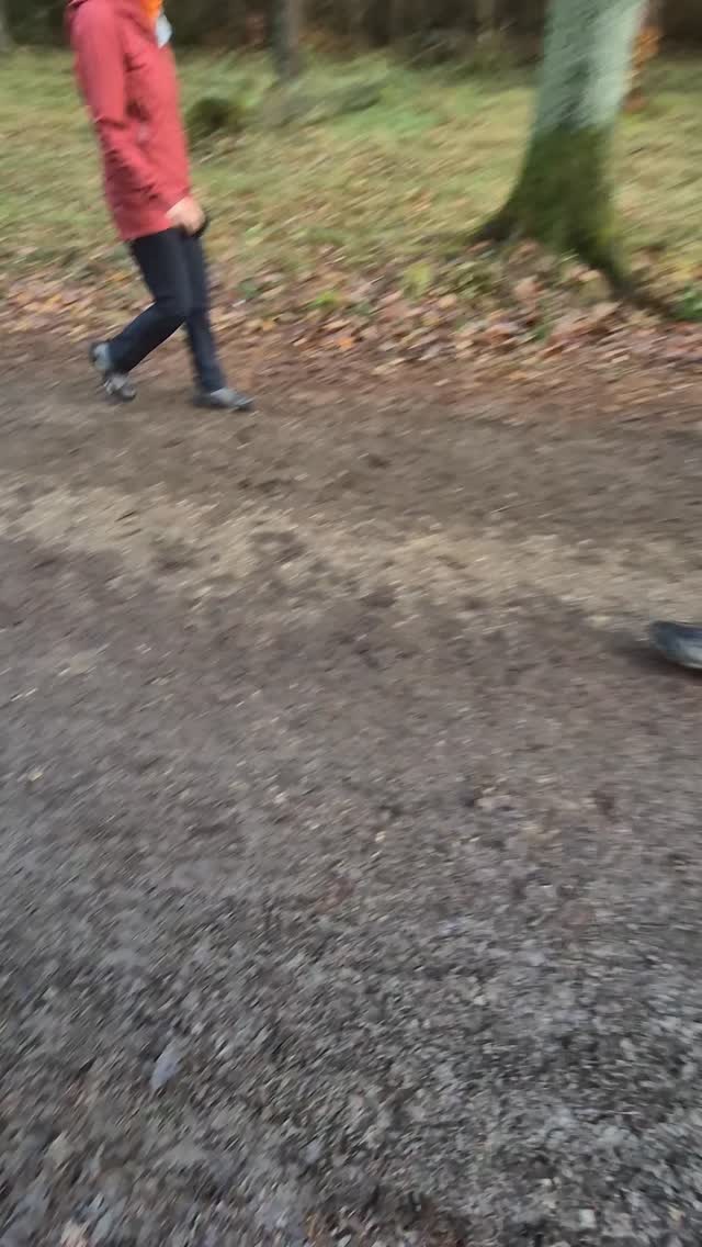 🎅🐾SANTA PAWS GROUP WALK🐾🎅

A great group walk to raise money for the Rottweiler Welfare Association. A total of £150 collected and some payments made directly to the charity. 

All money raised has been transferred to them which will go towards helping some dogs in need. 

Thank you everyone who donated and those who attended. 

dogs #dogtraining #northeastdogtraining looseleashwalking dogreactivity dogsofınstagram 
doglovers 
#libertask9