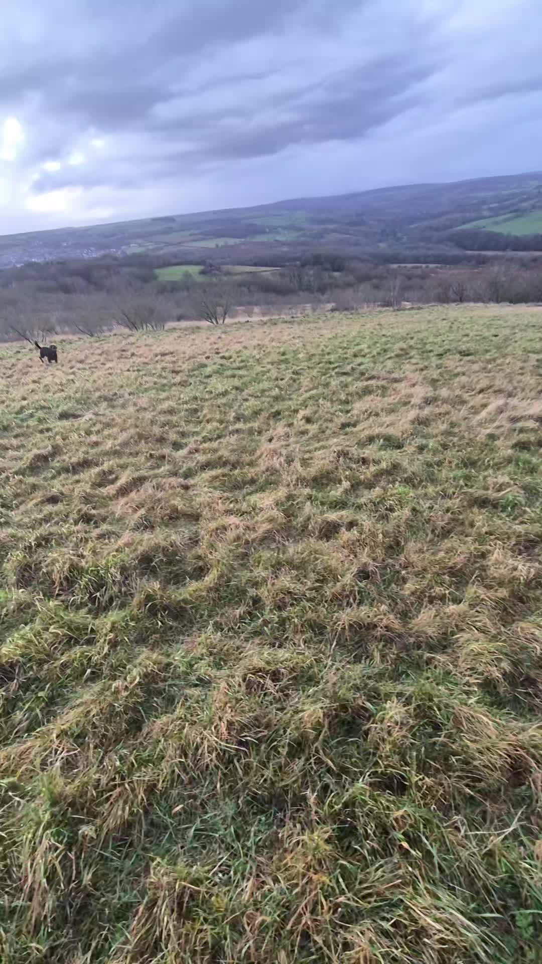 🐾🧠MINDSET MATTERS🧠🐾

When doing anything with our dogs it is so important to have the right mindset. 

Say for example you've had a really hard day at work, you are tired and can't really be bothered to do anything but you know you need to take the dog out so you get sorted and go out, still in that same rubbish headspace and give the dog a rubbish around the block walk. 

How can we expect our dogs to be happy, focused and listening to us when we are giving off rubbish vibes, or we are really boring or have no patience. 

The same with if you go out and are nervous of bumping into other dogs so you get stressed, try and rush past or tighten the lead. It will make the dog worse.

There are various examples I could use but the point is that we need to change our mindset and show up for our dogs. 

The dog didn't choose to live with us. We chose them so why do we stop choosing them when things get tough.

I appreciate there are some things that are hard to work through as life happens but on the whole we can do better. 

Training starts by getting in the right mindset, planning what you want to work on and following through. 

#dogs #dogtraining #northeastdogtraining #looseleashwalking #dogreactivity #dogsofınstagram 
#doglovers 
#libertask9