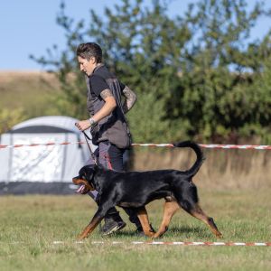 Day Training